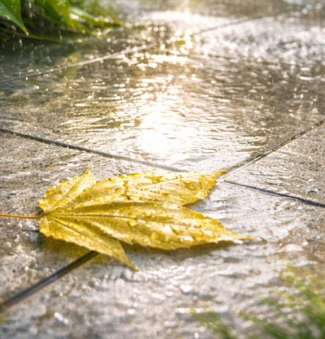 émulsion-pure-acrylique-2